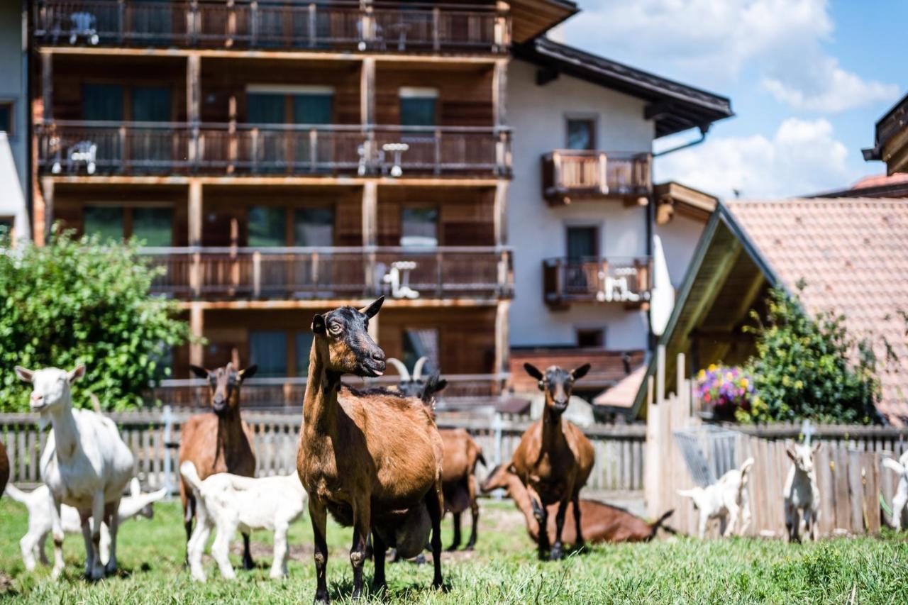 Sporthotel Exclusive San Vigilio Di Marebbe Zewnętrze zdjęcie